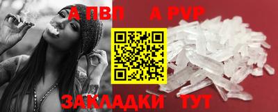 СК Новозыбков
