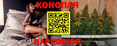 альфа пвп Новокубанск
