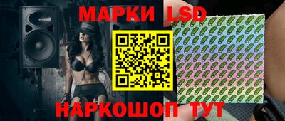 СК Новозыбков