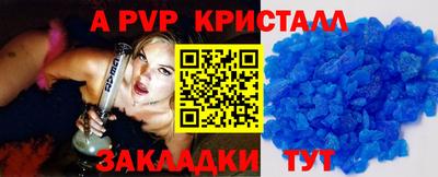 СК Новозыбков