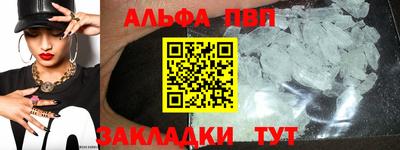 СК Новозыбков