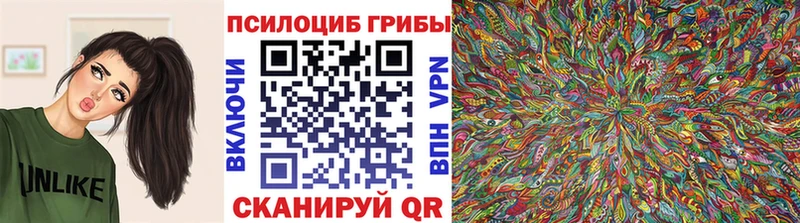 Галлюциногенные грибы Magic Shrooms  мега зеркало  Урюпинск 
