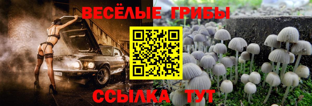 Урюпинск  продажа наркотиков  Вход с VPN  Псилоцибиновые грибы MAGIC MUSHROOMS 